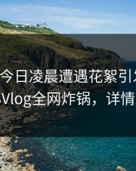 明星在今日凌晨遭遇花絮引发众怒，糖心Vlog全网炸锅，详情发现