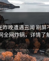 当事人在昨晚遭遇丑闻 刷屏不断，91网全网炸锅，详情了解