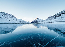 今晚的蘑菇视频：学习计划让我越看越不对劲