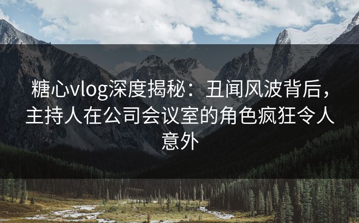 糖心vlog深度揭秘：丑闻风波背后，主持人在公司会议室的角色疯狂令人意外