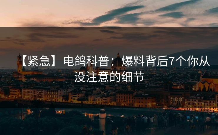【紧急】电鸽科普:爆料背后7个你从没注意的细节 【紧急】电鸽科普:爆料背后7个你从没注意的细节