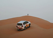 今晚的蘑菇视频:学习计划让我越看越不对劲